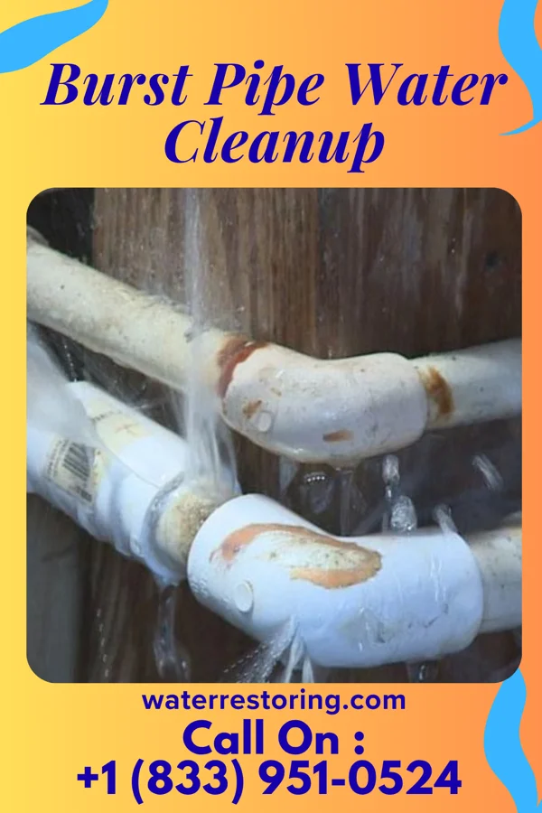 Burst Pipe Water Cleanup in Cowen, WV