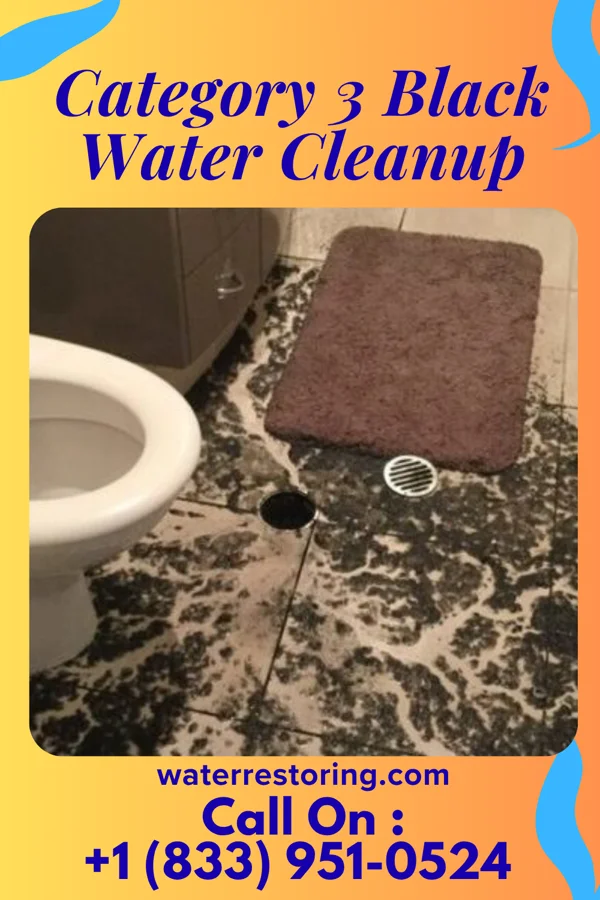 Category 3 Black Water Cleanup in Cowen, WV