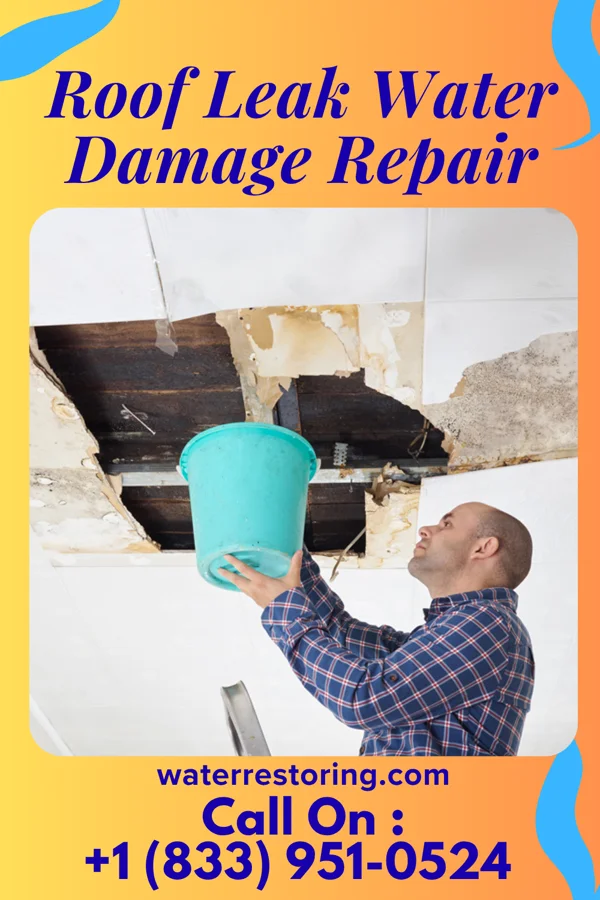 Roof Leak Water Damage Repair in Cowen, WV
