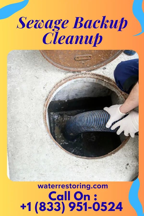 Sewage Backup Cleanup in Cowen, WV