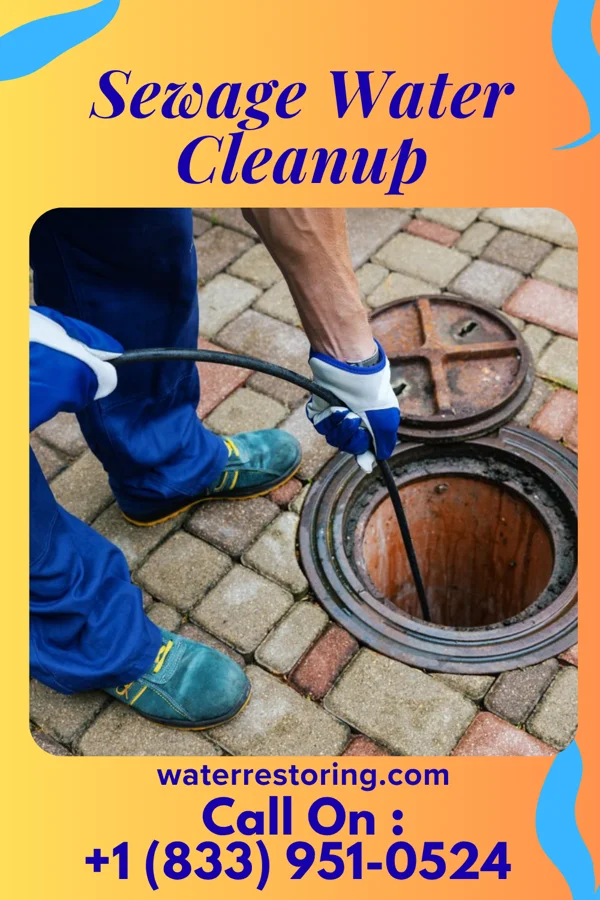 Sewage Water Cleanup in Cowen, WV