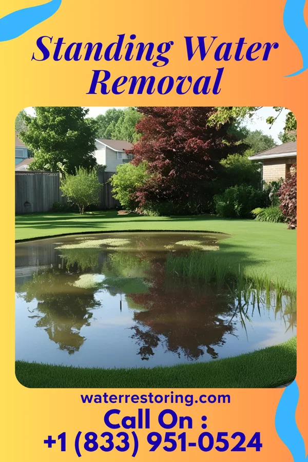 Standing Water Removal in Cowen, WV